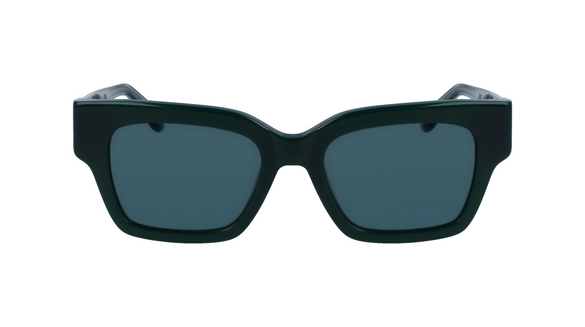 Sunglasses Man Woman Calvin Klein Jeans  CKJ23601S 301
