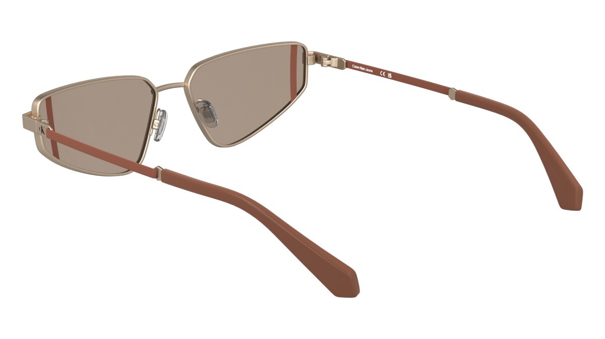 Sunglasses Woman Calvin Klein Jeans  CKJ25200S 770