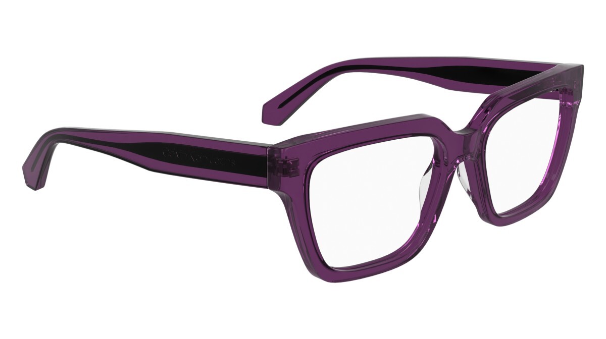 Eyeglasses Woman Calvin Klein Jeans  CKJ25609 208