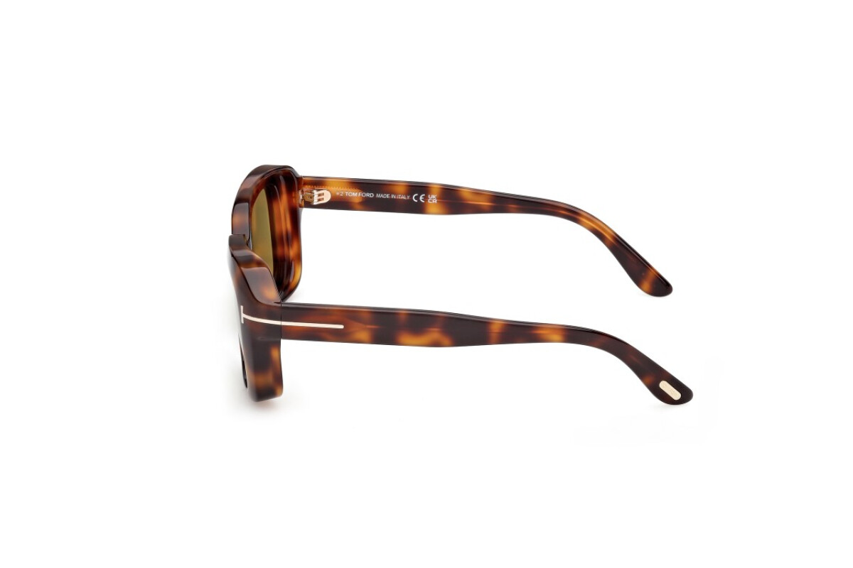 Sunglasses Woman Tom Ford Natalia-02 FT1283 53N