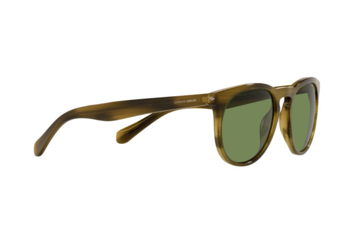 Occhiali da Sole Uomo Giorgio Armani  AR 8149 59024E