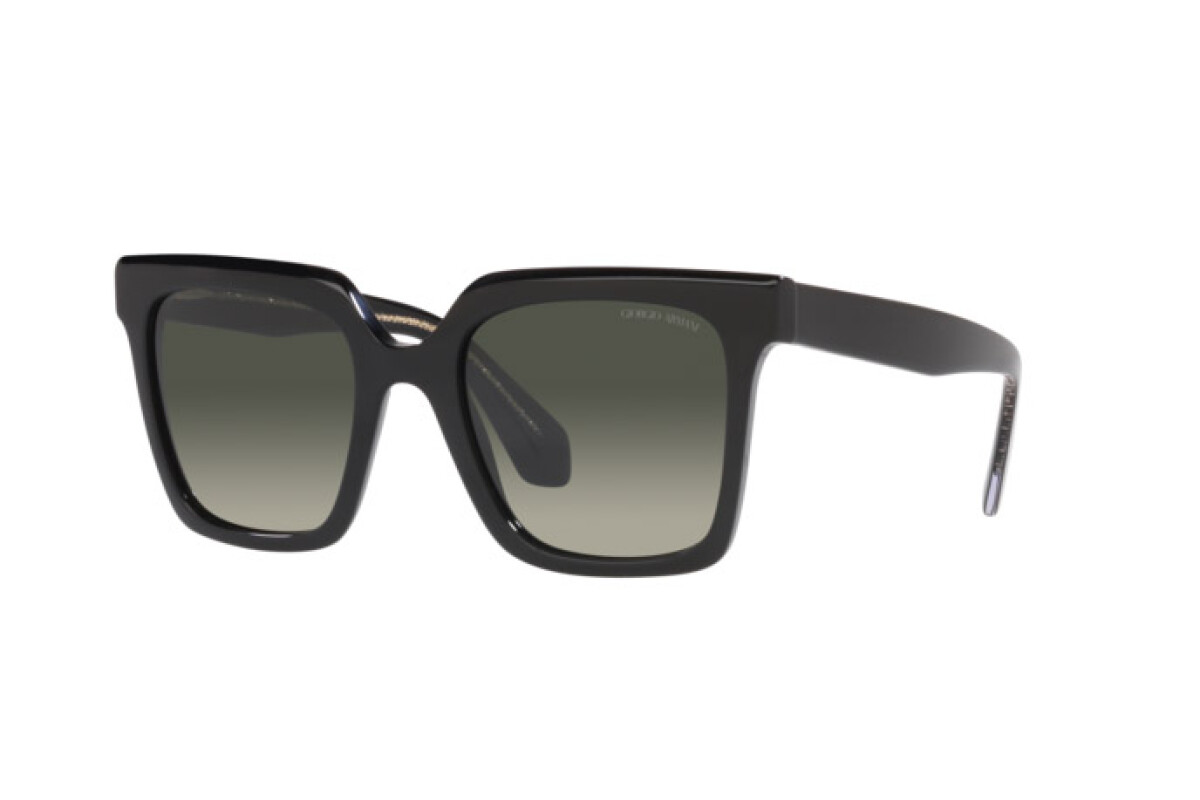 Occhiali da Sole Donna Giorgio Armani  AR 8156 587571