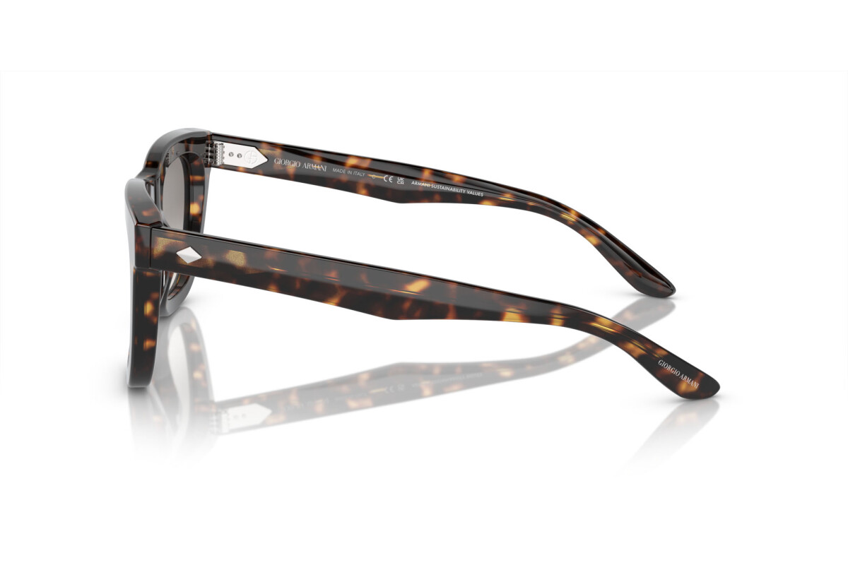 Sunglasses Man Giorgio Armani  AR 8171 587932