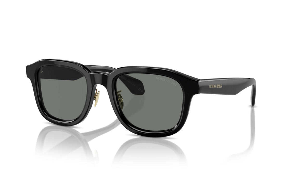 Sunglasses Man Giorgio Armani  AR 8206 6060/1
