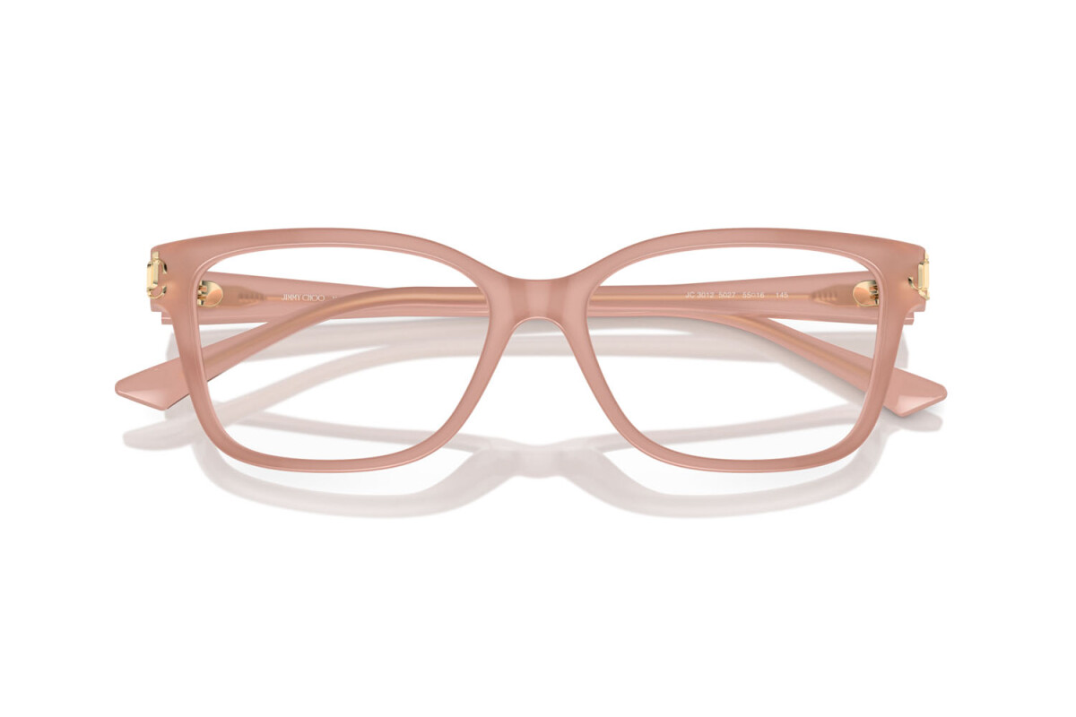 Eyeglasses Woman Jimmy Choo  JC 3012 5027