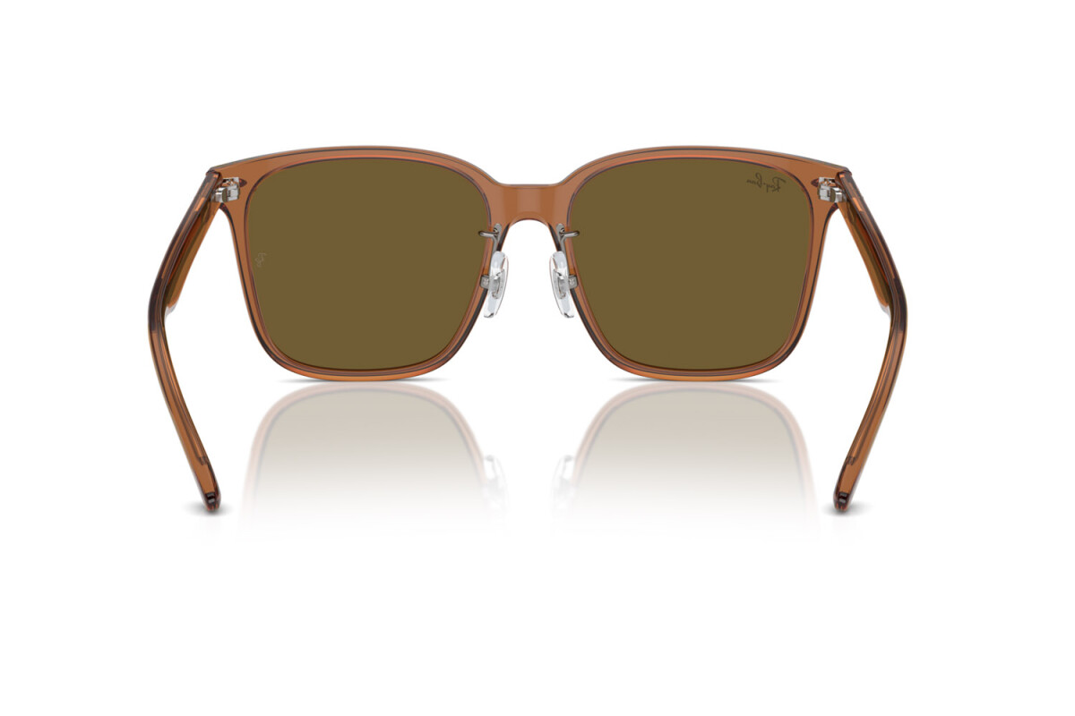 Occhiali da Sole Donna Uomo Ray-Ban  RB 2206D 663673
