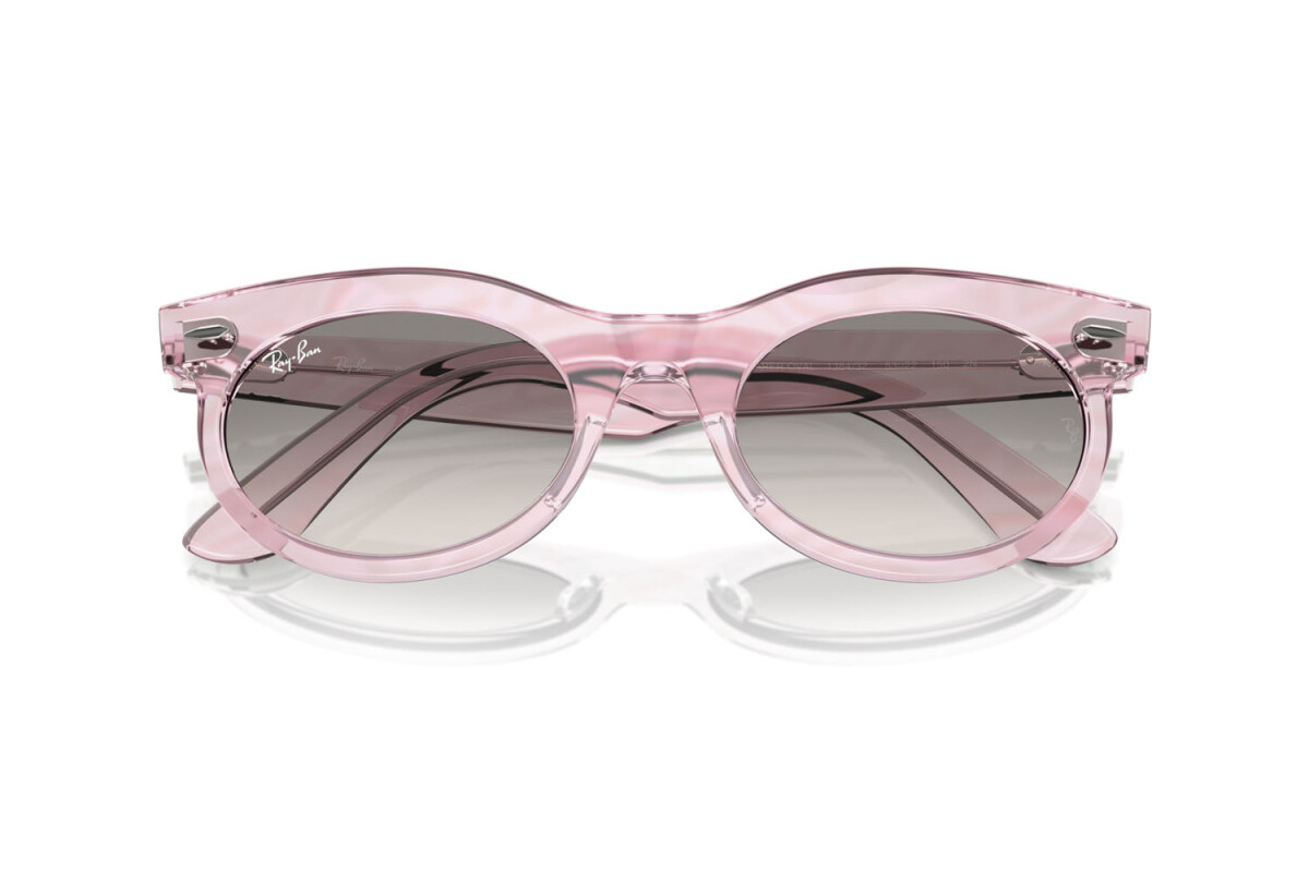 Sunglasses Man Woman Ray-Ban Wayfarer Oval Change RB 2242 138432