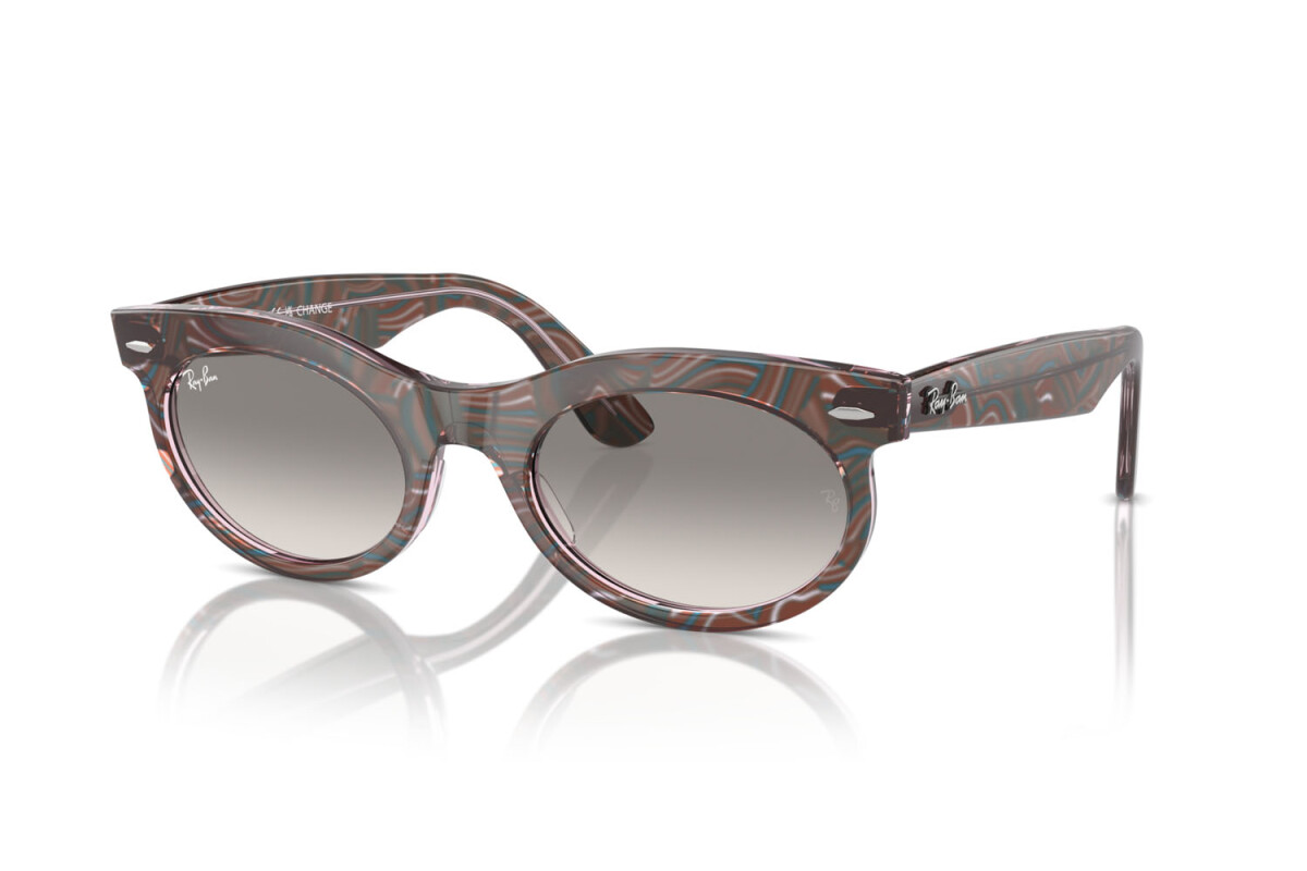 Sunglasses Man Woman Ray-Ban Wayfarer Oval Change RB 2242 138432