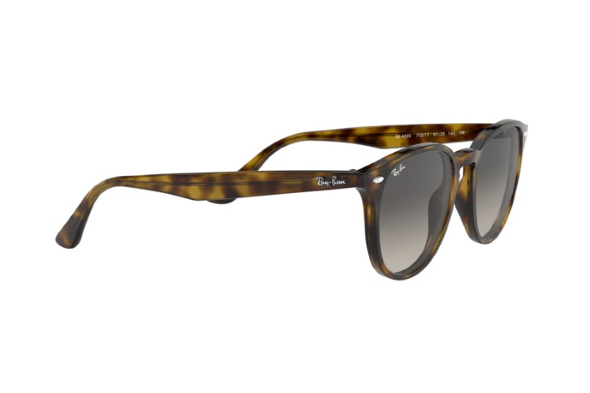 Occhiali da Sole Donna Uomo Ray-Ban  RB 4259 710/11