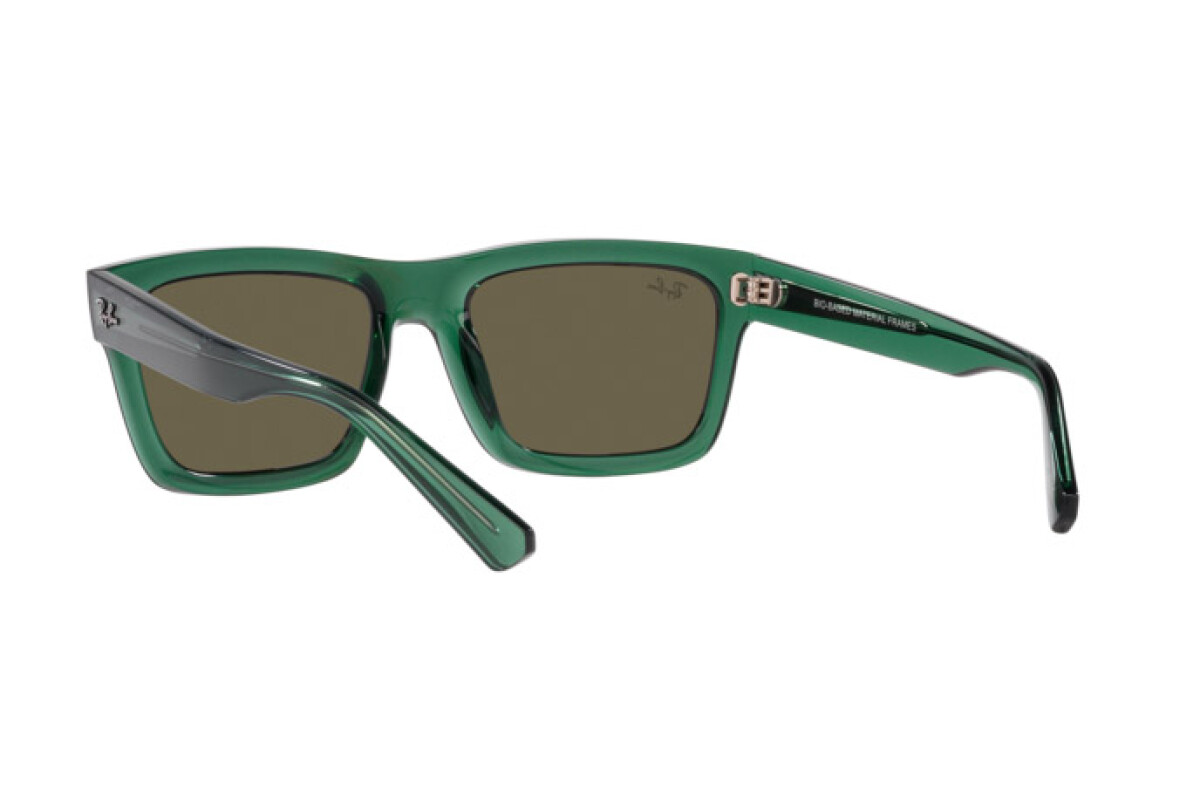 Sunglasses Man Woman Ray-Ban Warren RB 4396 6681/3