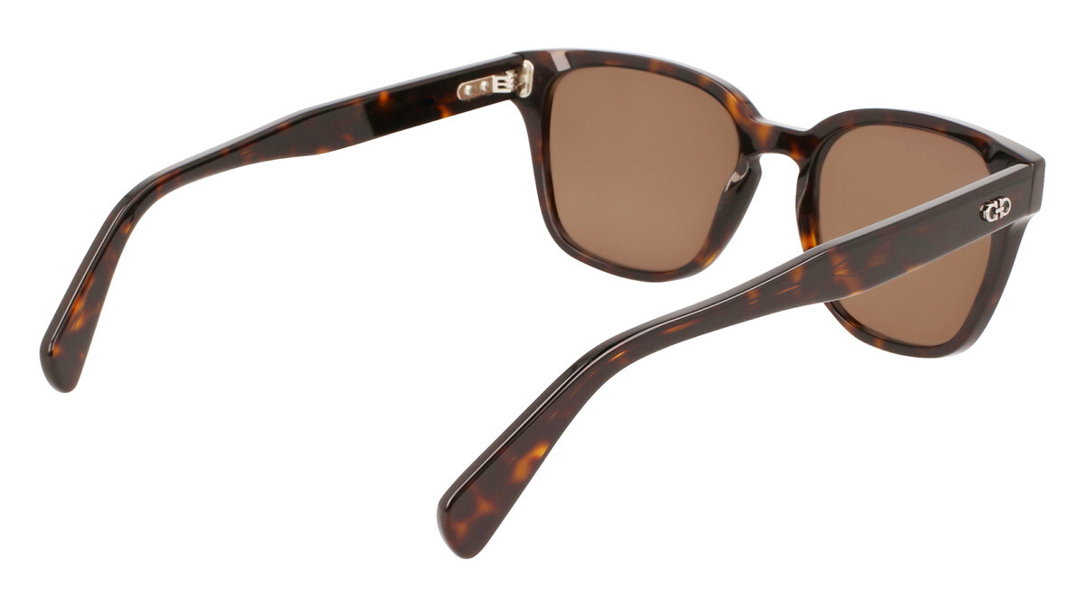 Occhiali da Sole Uomo Salvatore Ferragamo  SF1040S 240