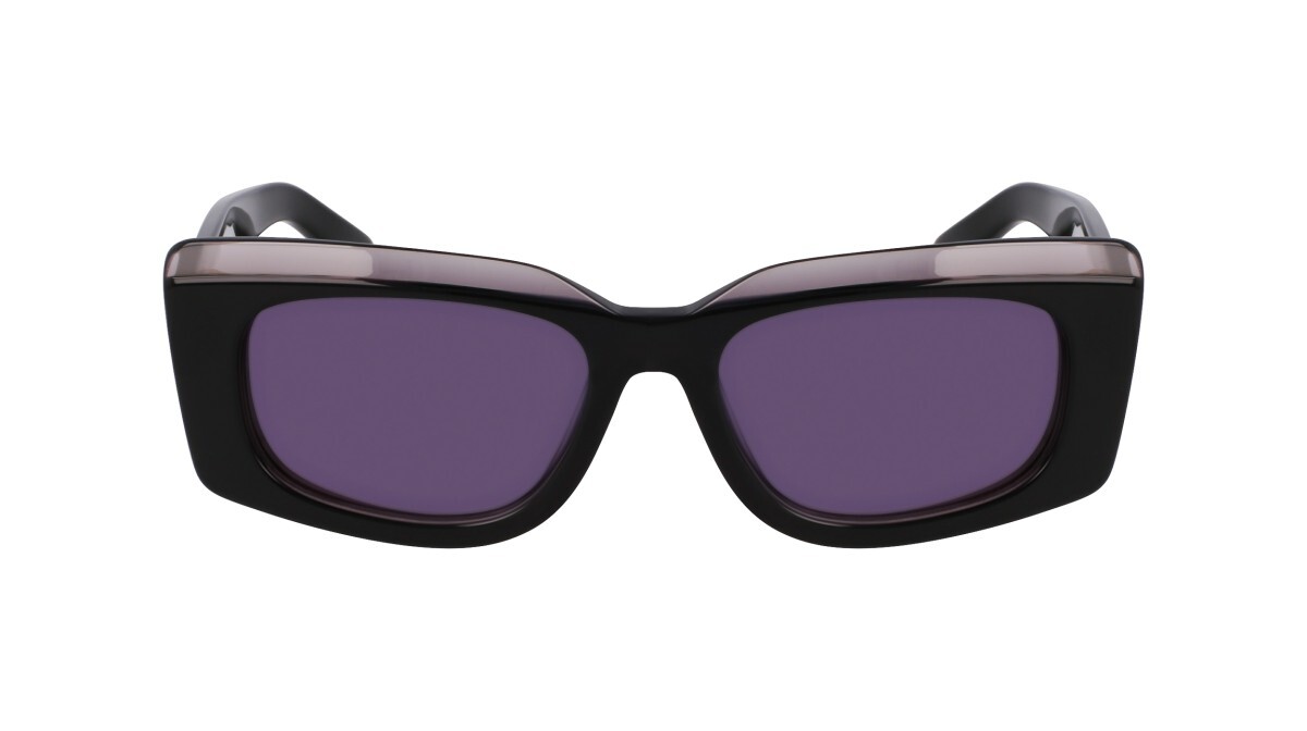 Sunglasses Woman Salvatore Ferragamo  SF1079SN 022