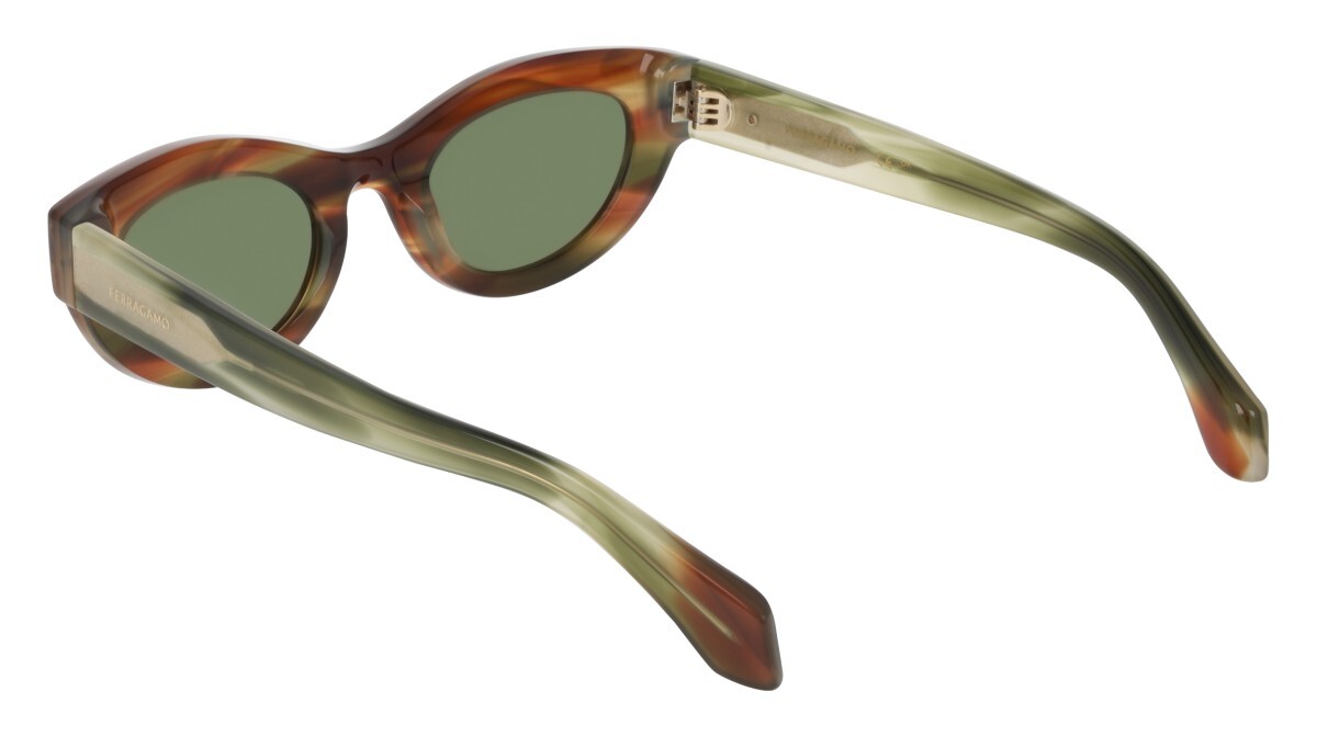 Sunglasses Woman Salvatore Ferragamo  SF2062SE 280
