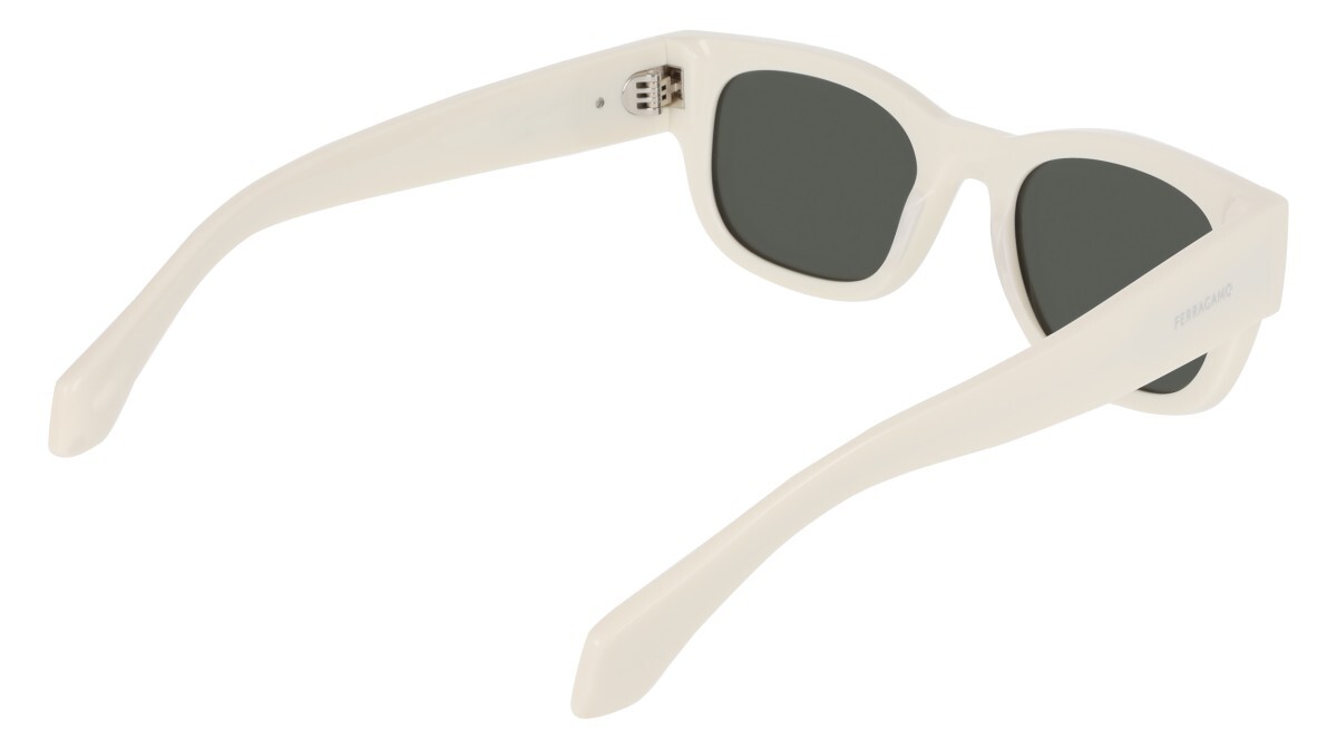 Sunglasses Man Salvatore Ferragamo  SF2064SE 103