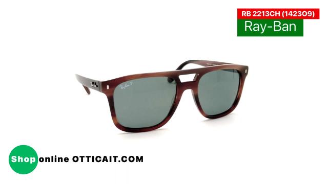 Ray-Ban RB 2213CH (1423O9)