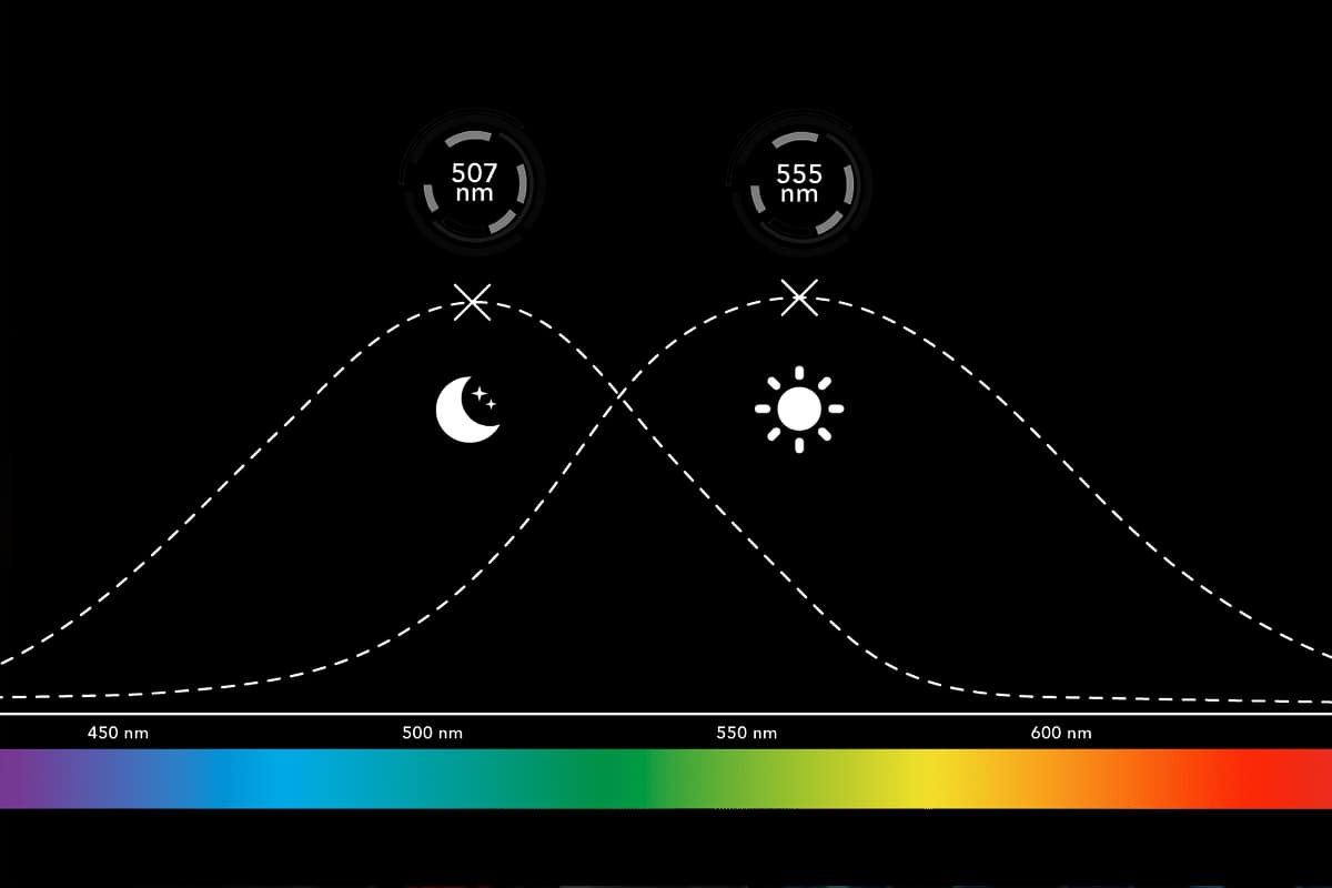 Lenti per la guida: sicurezza e comfort con la tecnologia night drive